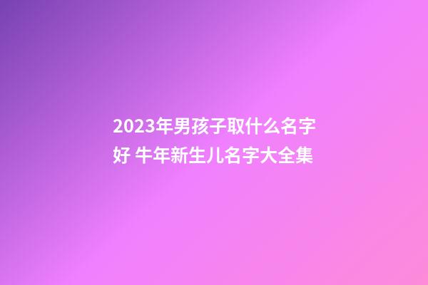 2023年男孩子取什么名字好 牛年新生儿名字大全集